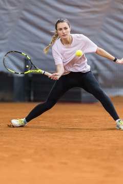 Bild 465 - HL THC von Horn und Hamm - Marienthaler THC : Ergebnis: 5:1